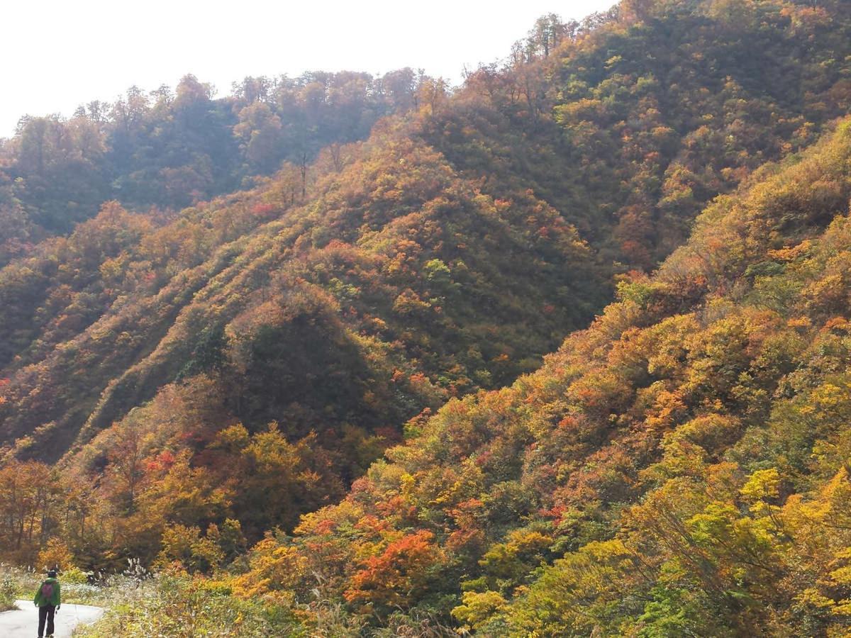 Hotel Ogawa Asahi  Luaran gambar